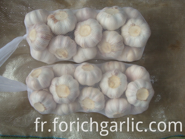 1kg Normal White Garlic